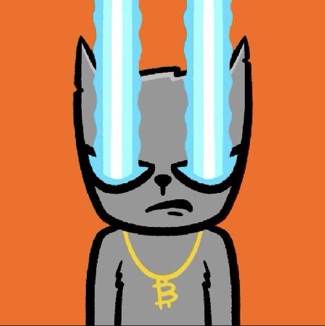 Cole 🇨🇦 tweet media