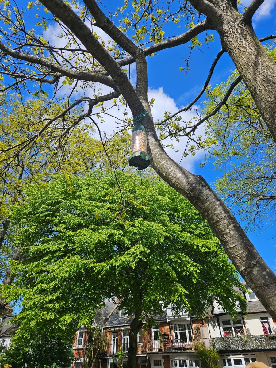 _DAWN_Network's tweet image. Lovely day out in the sunshine for our litter pick &amp;amp; the topping up of bird feeders at Churchill Gardens. Amazing to see everyone out enjoying the beautiful weather.

Let us know any suggestions for other locations.

#boscombe #dorset #community #LoveWhereYouLive #neighbours
