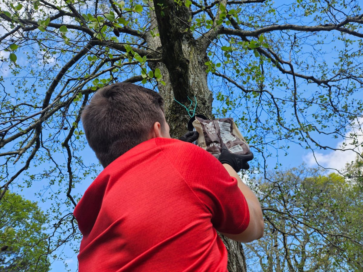 _DAWN_Network's tweet image. Lovely day out in the sunshine for our litter pick &amp;amp; the topping up of bird feeders at Churchill Gardens. Amazing to see everyone out enjoying the beautiful weather.

Let us know any suggestions for other locations.

#boscombe #dorset #community #LoveWhereYouLive #neighbours
