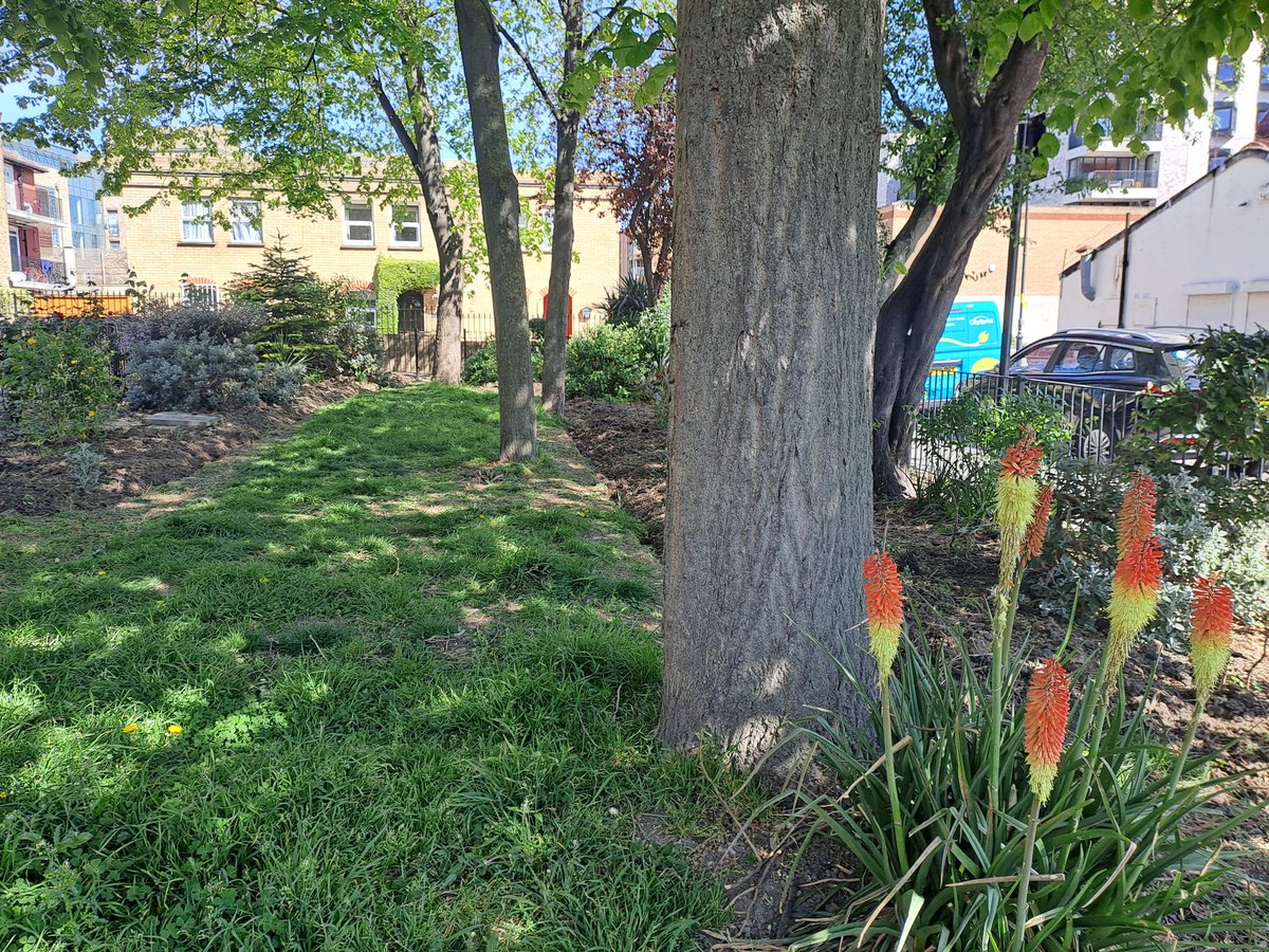 MagnusRodwell's tweet photo. #saveourpark.  Supposedly council plan to create allotments in park on #pageswalk.  No consultation has been done with st. residence and designs issued.  Please help us @RachelBentleyNB #bermondsey #se1news @Southwark_News #se1 @lb_southwark https://t.co/rSBxRwsUeg