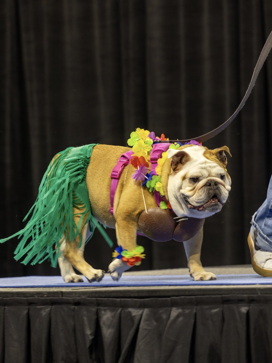Drake University tweet media