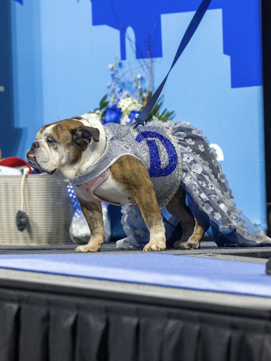 Drake University tweet media