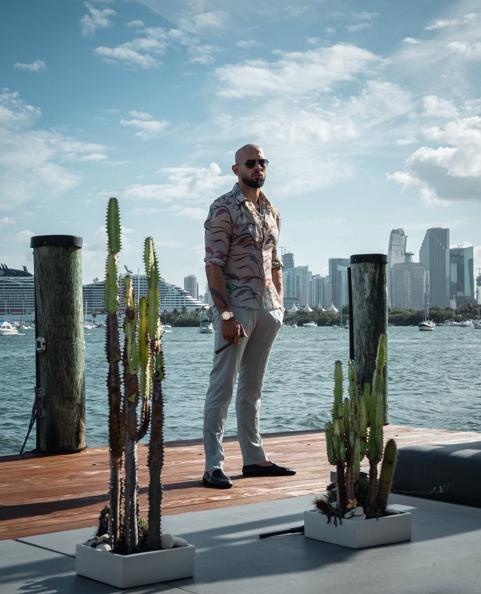 The Real World tweet media