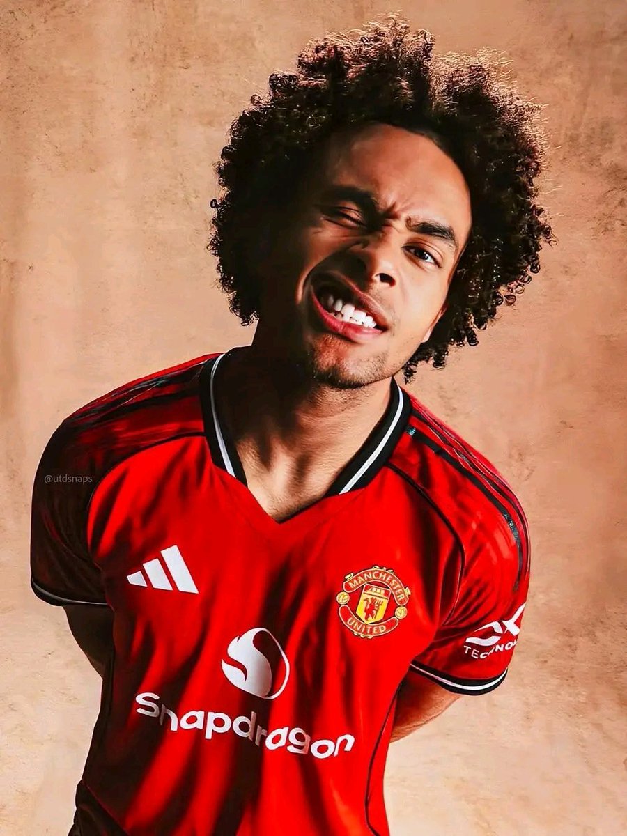 GBUnitedx's tweet photo. 🚨Michael Carrick should give Joshua Zirkzee more minutes… YES/NO? https://t.co/GVS9bQo9VD
