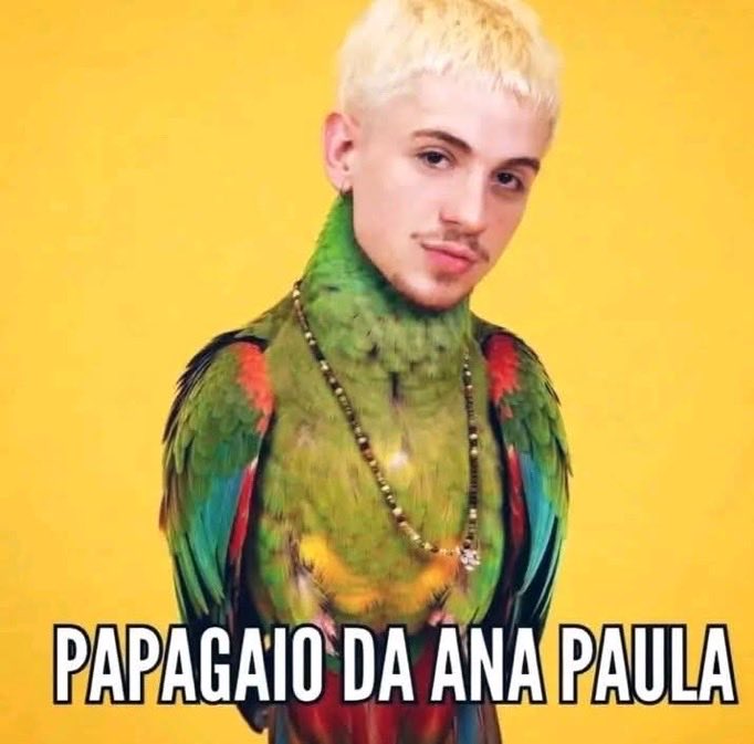 RegianeNeres120 tweet media