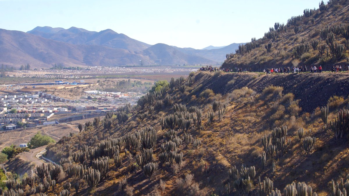 JorgeHauyon's tweet photo. Caminando... y con mas gente, me desconozco.
Estuvo bueno el #trekking mirando a #Ovalle hacia el cerro de las antenas. https://t.co/A01n086Ozr