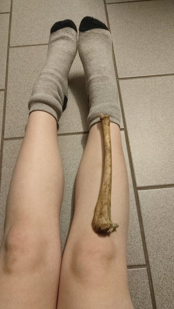 AiriT_boy's tweet image. #bodycheck #edtwt #ed