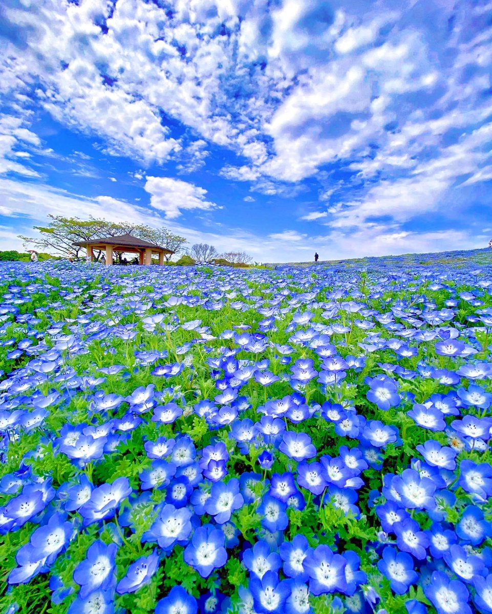 Kizuどん ㏍ tweet media