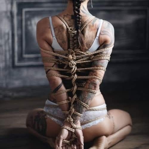 Amo Lobo tweet media