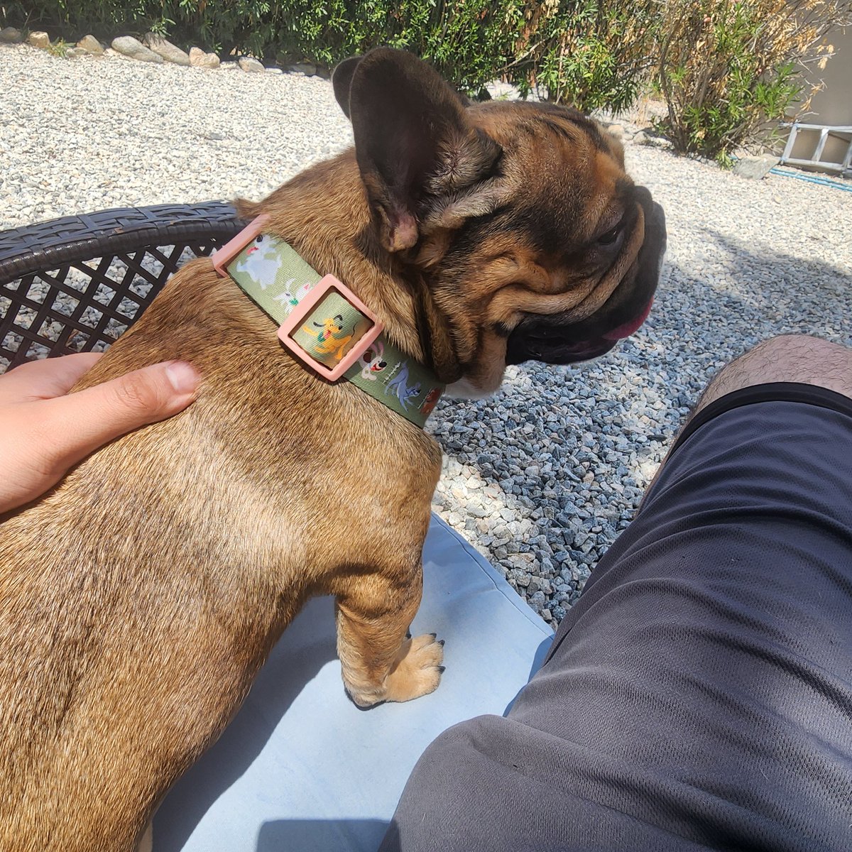 Teromit Prime tweet media