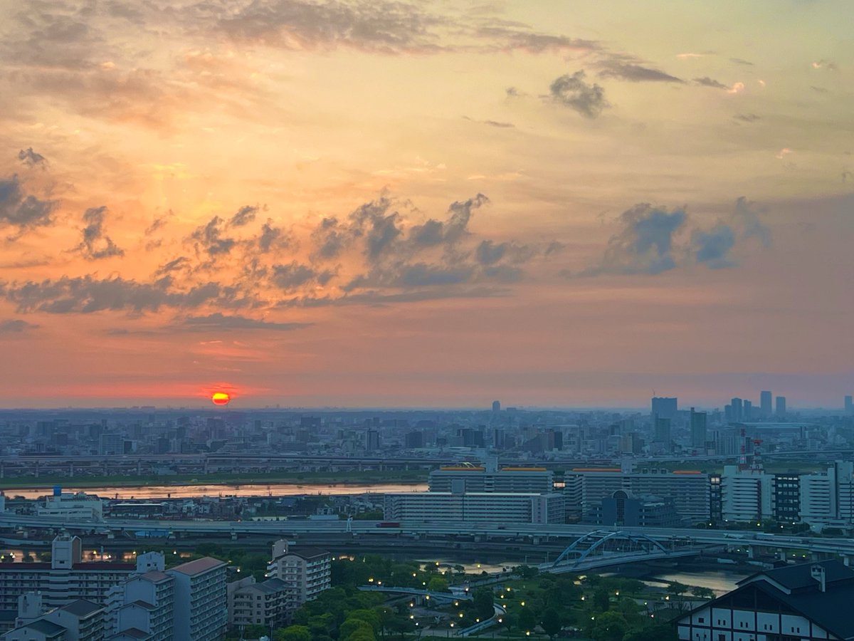 ポスゴリくん tweet media