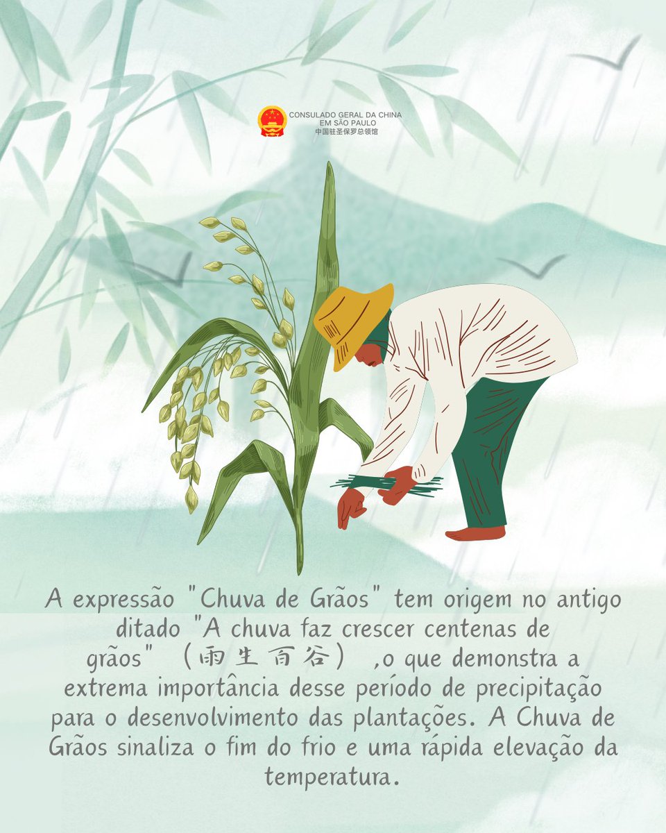 Consulado-Geral da China em São Paulo tweet media