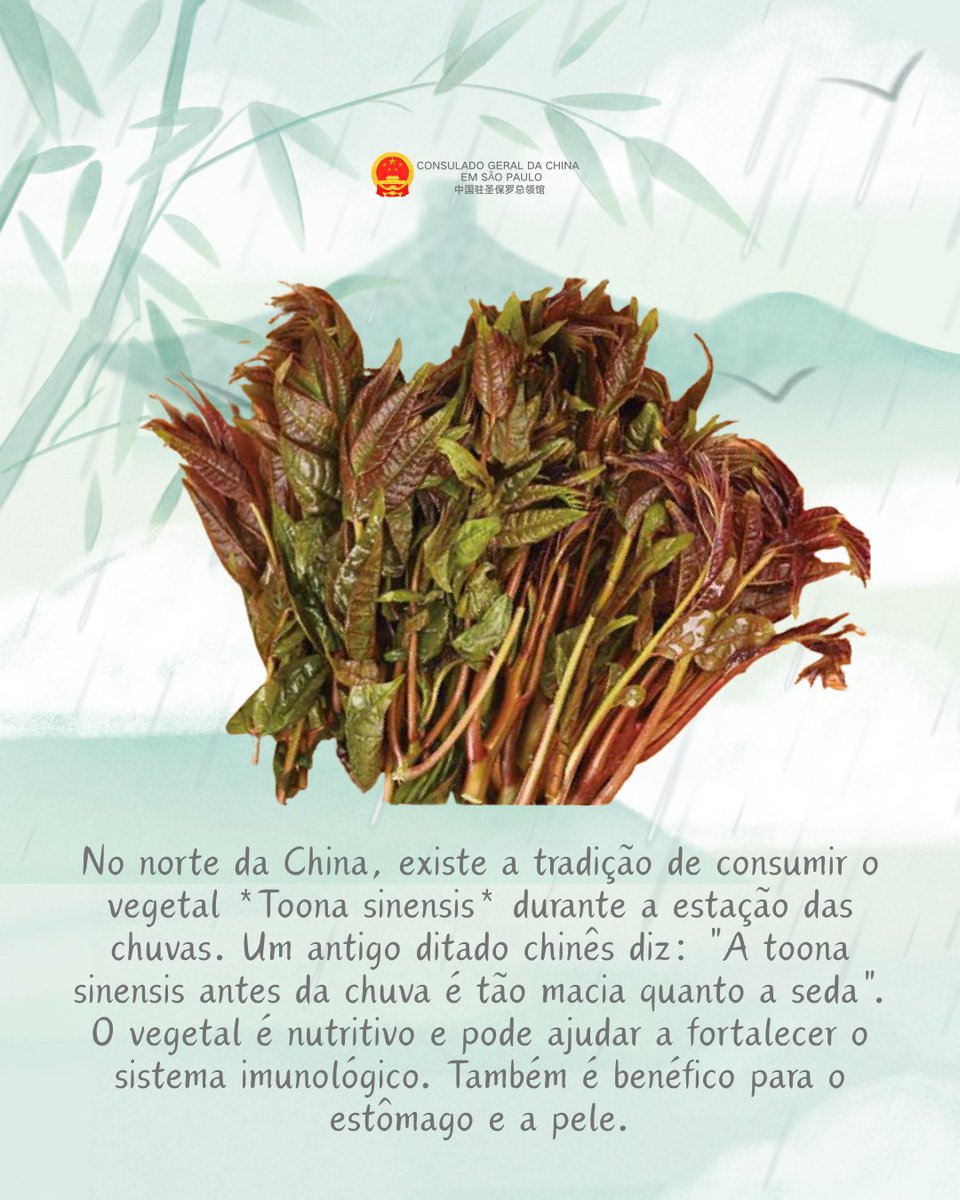 Consulado-Geral da China em São Paulo tweet media