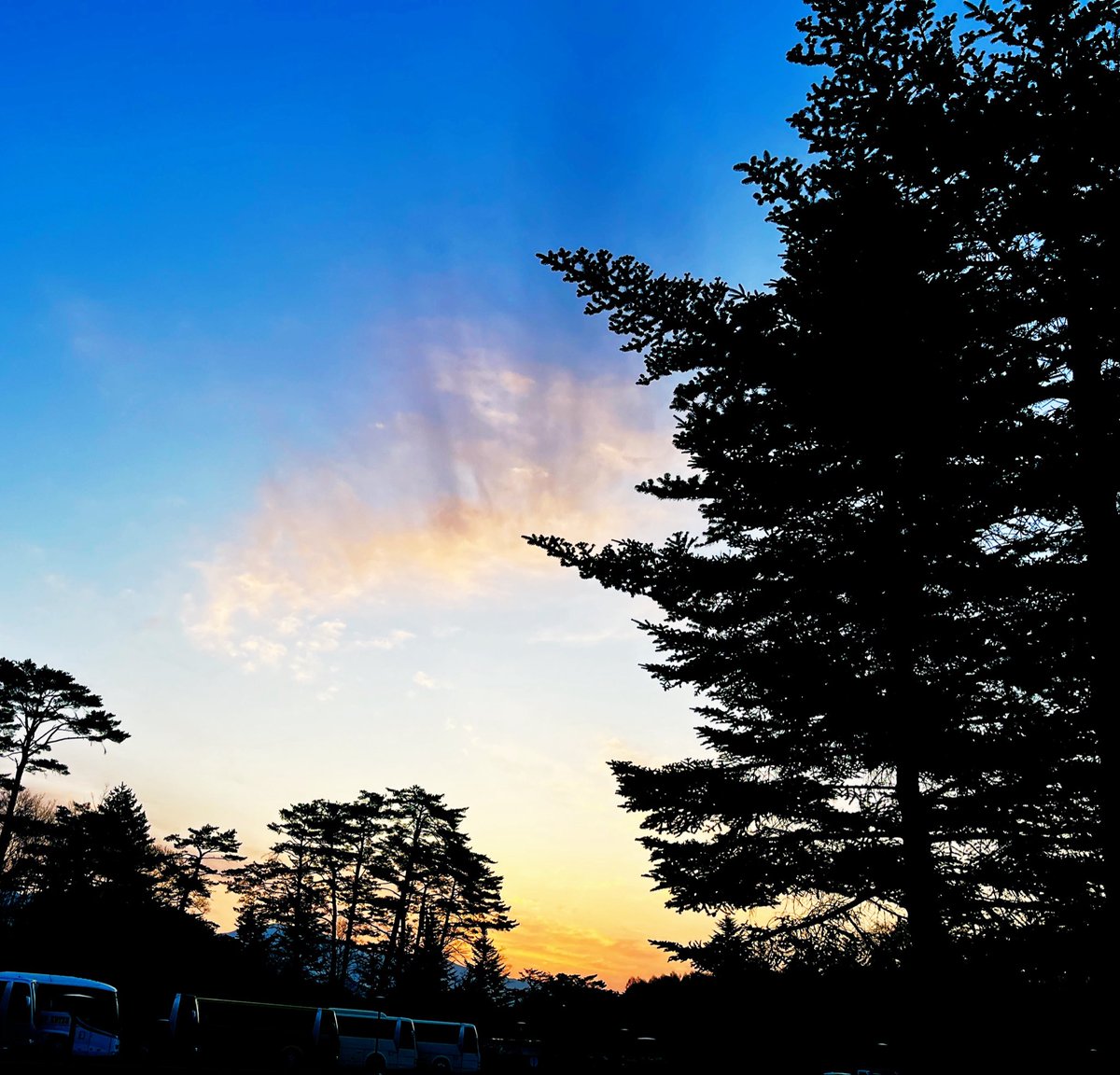 なつき tweet media