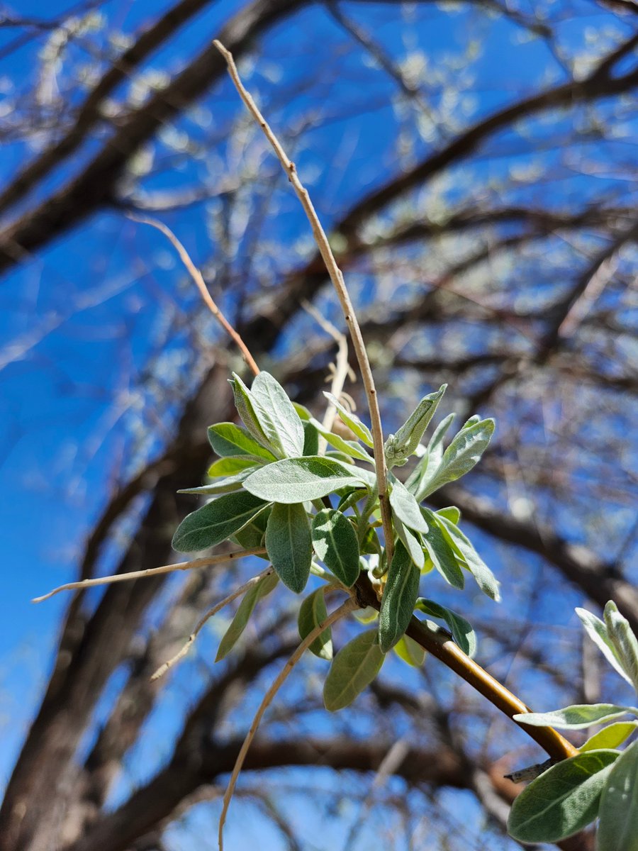 GregLionhart's tweet image. #Spring #Hiking #MyPhoto #Photography