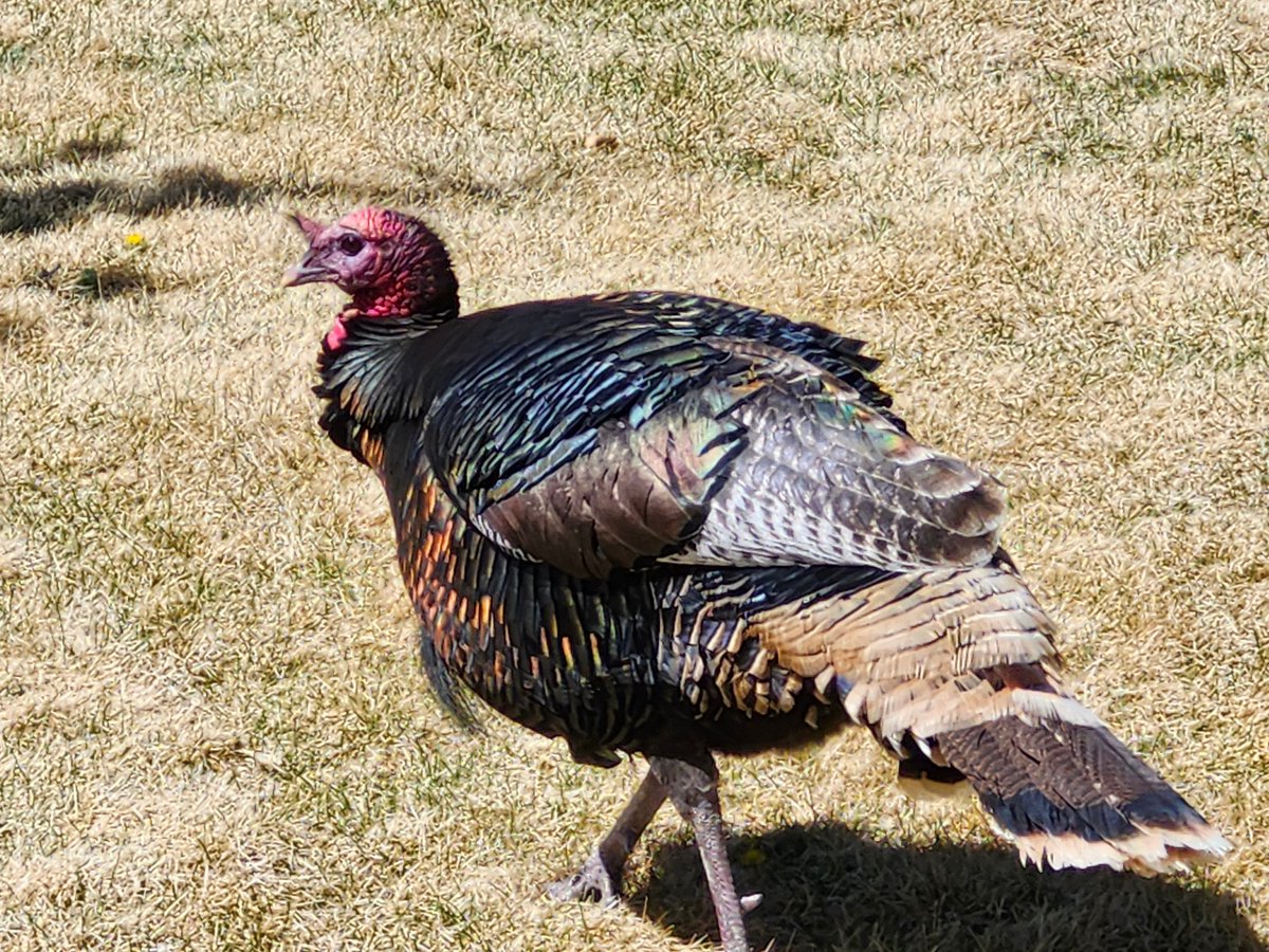 GregLionhart's tweet image. #Turkey #Hiking #MyPhoto #Photography