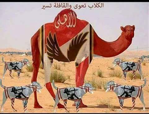 💥shams 💥Al Ahly🦅 tweet media