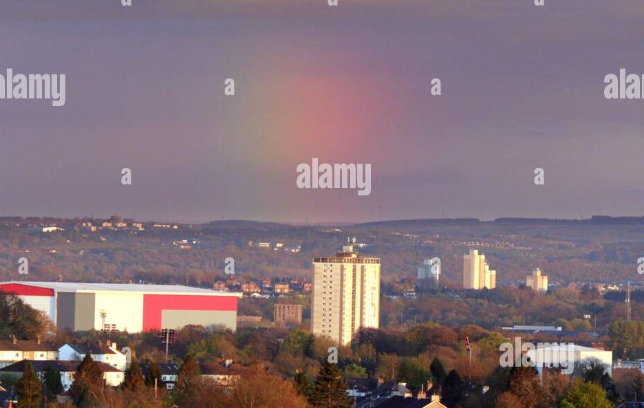 harry hound tweet media