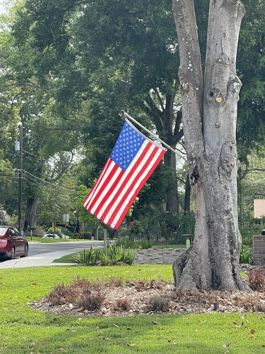 Mike Smith 🇺🇸 tweet media