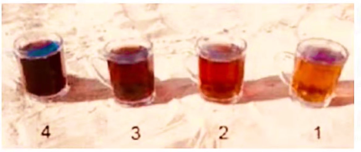 البلجيك tweet media