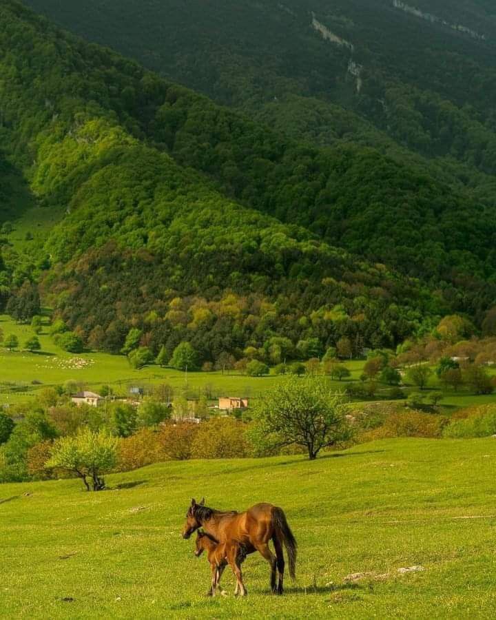 A beautiful reminder of nature's calm, untouched beauty.