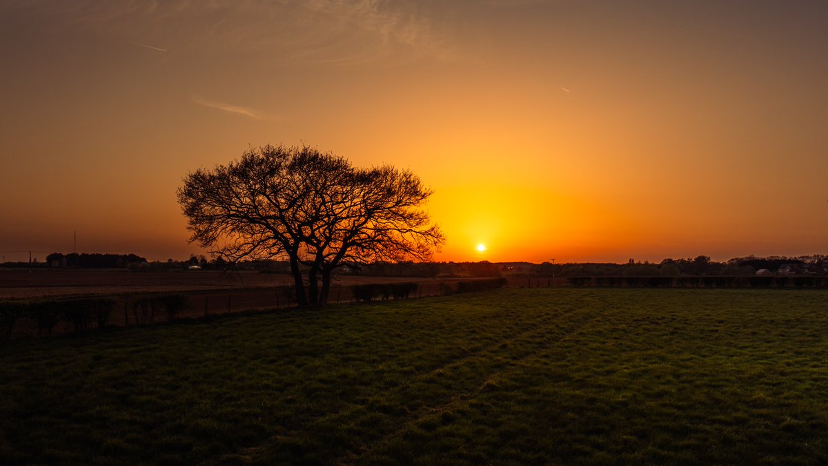 IrishPixel's tweet photo. This time of year is something else! Love stepping away from the tech and AI for this. Life is changing fast! https://t.co/cnvISMYFot