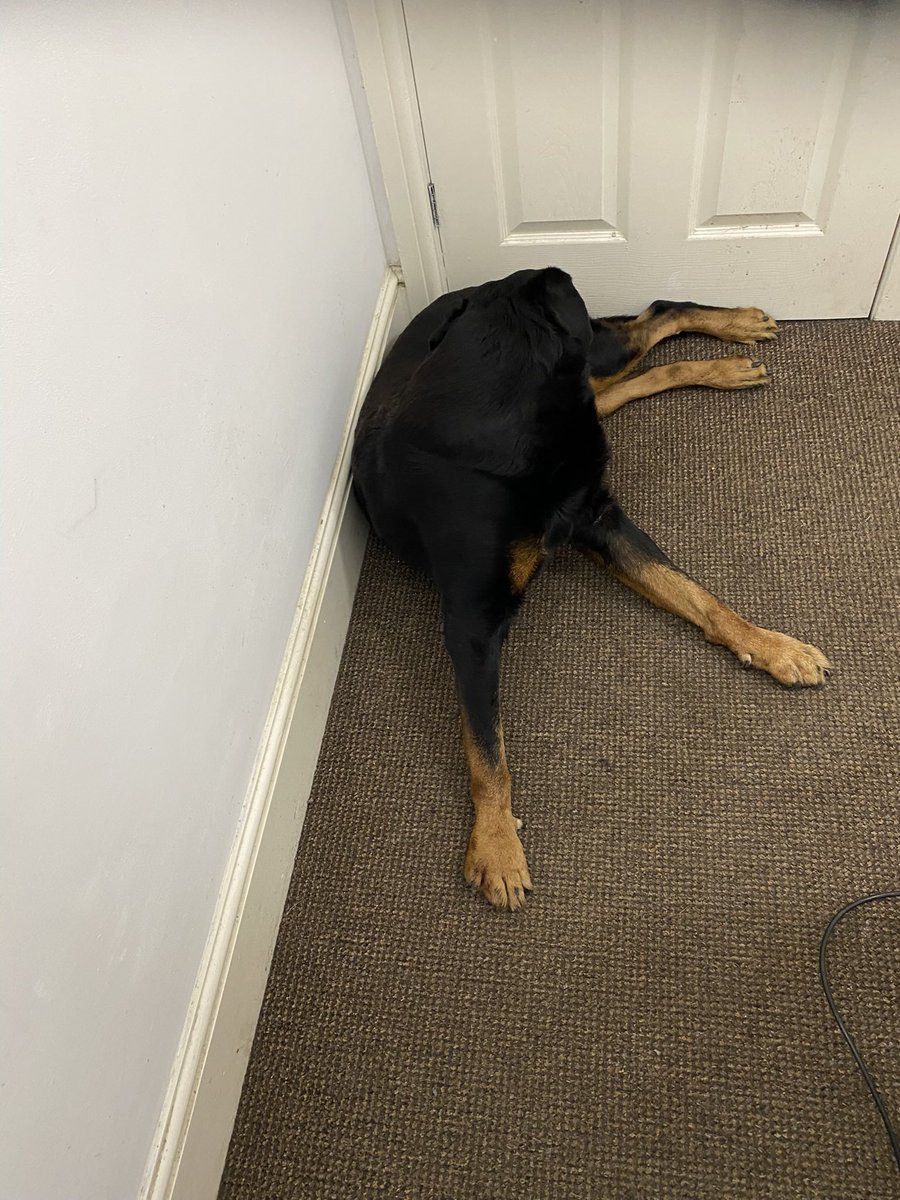 Erik Lehnsherr-Xavier tweet media