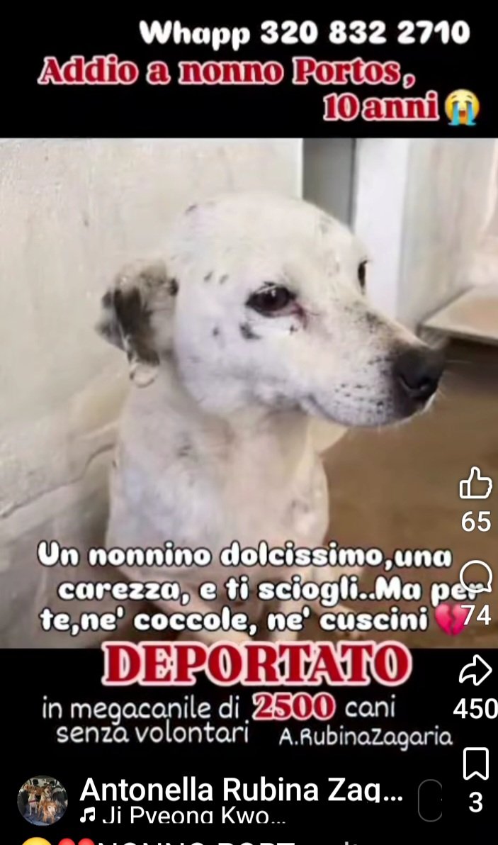 Gioia 🐶🐾🐱🇮🇹 tweet media