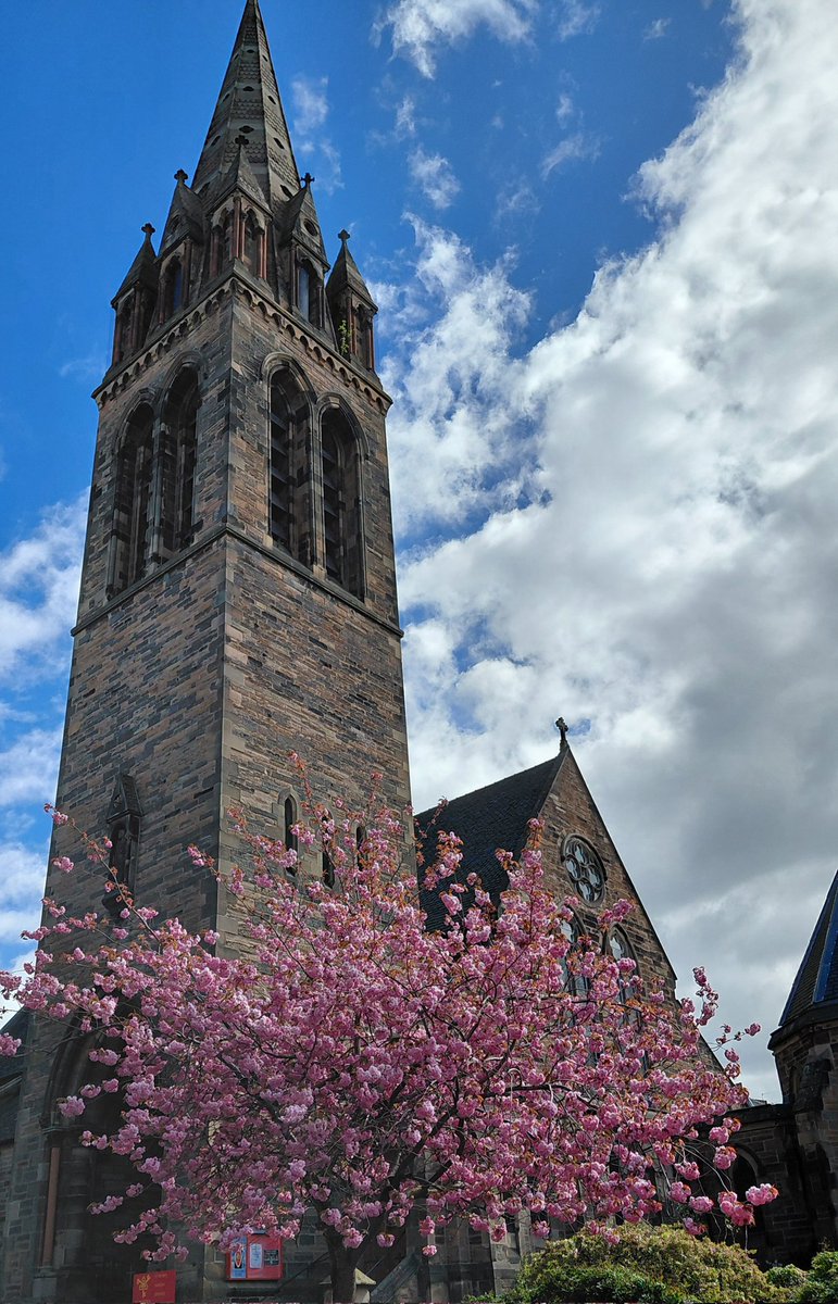 StPythag's tweet photo. Blossom time in #Edinburgh  at St Peter's Lutton Place https://t.co/2dhndMMrjN