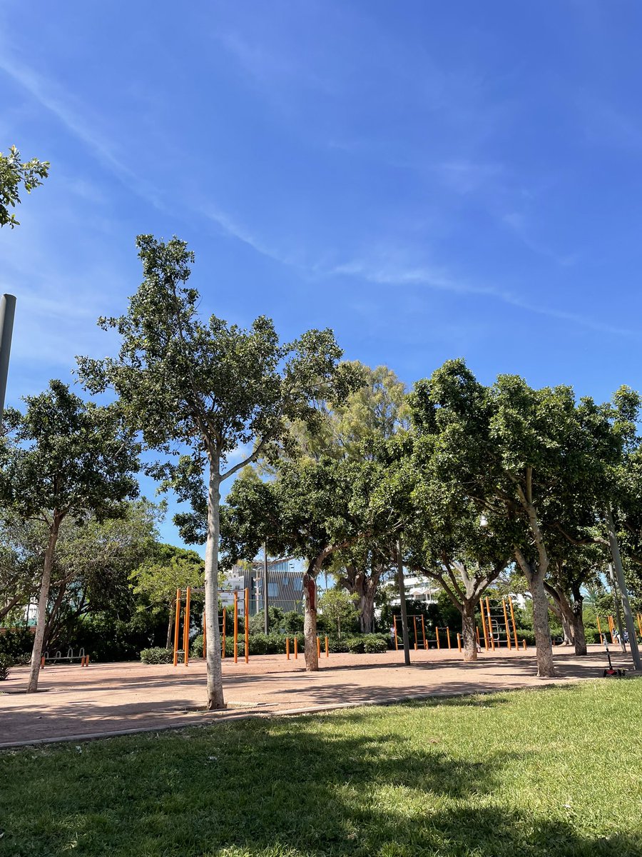 bo7amronaa tweet media