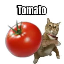 Paltnini tweet media