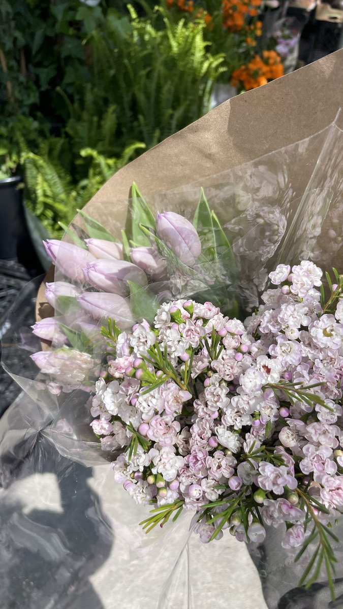 alisonclaire's tweet photo. It’s spring if you ignore the temperature https://t.co/8mlrtY16PR