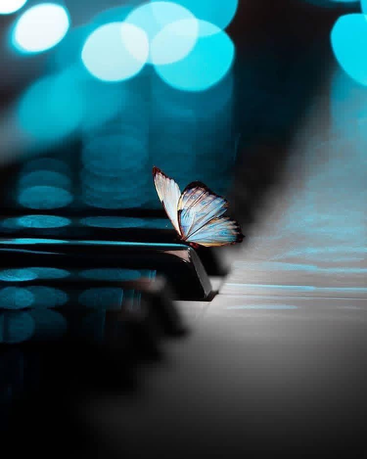 goldenshepard's tweet image. “A man SEES 👀 the WORLD 🌍 what he carries in his HEART ♥️ ❗️” ~ Johann Wolfgang Von Goethe #heart #carry #lifehack #weekendstories