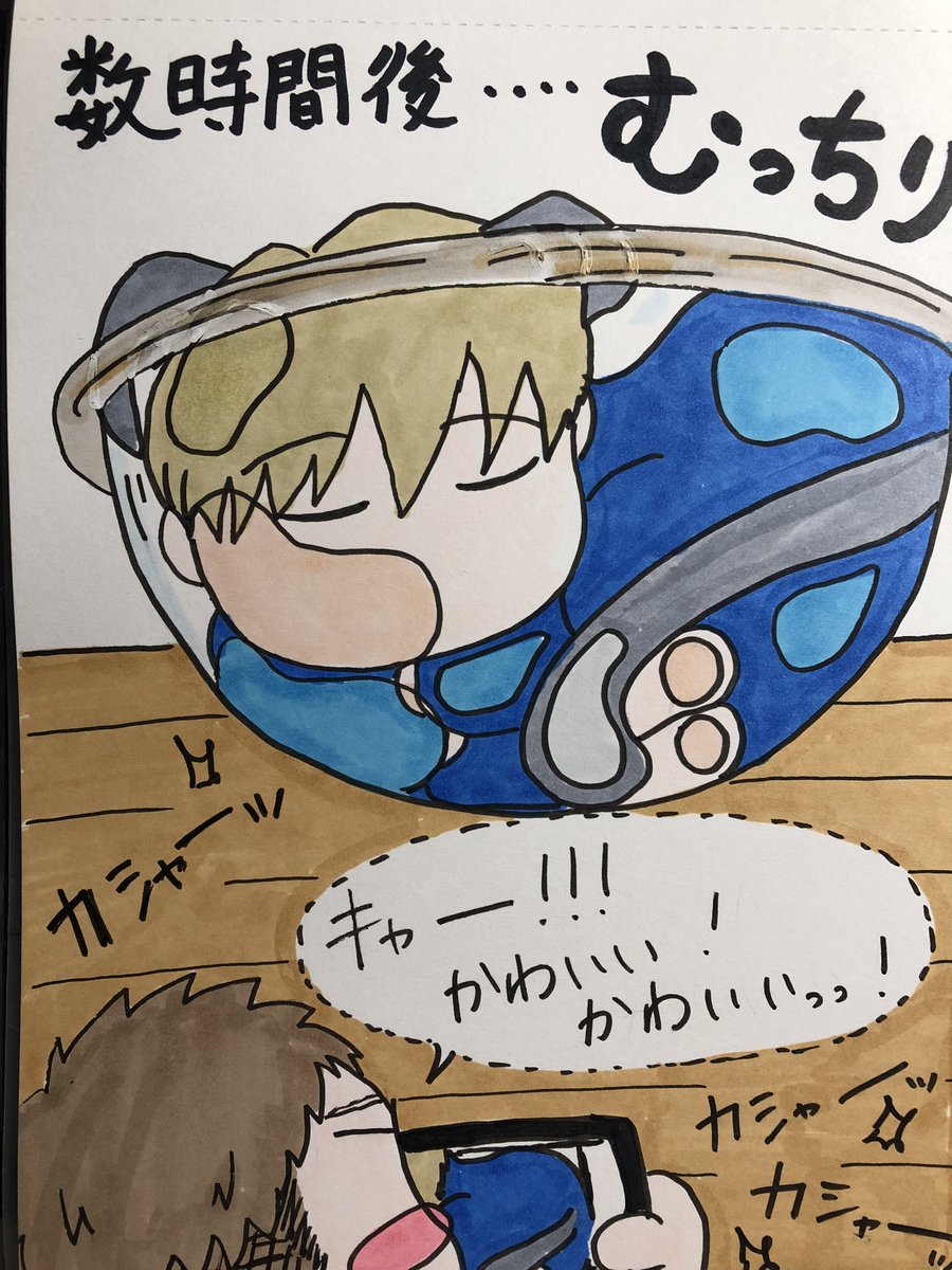 8NPbhvNDvZ18701's tweet photo. ニャシロさん　3/3 https://t.co/Vsm1ihAO5J
