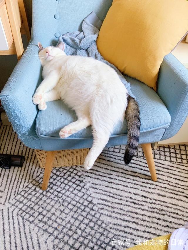 Miclo Serge tweet media