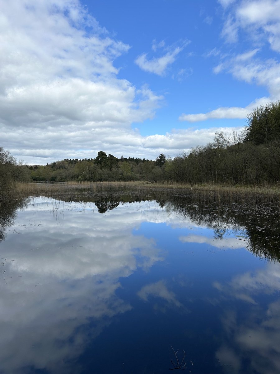 MacGiollaBhainM's tweet image. Sunday, day 109.  A morning walk on the greenway and an afternoon walk in Rossmore park #365daysofwalking 
#100daysofwalking #200daysofwalking