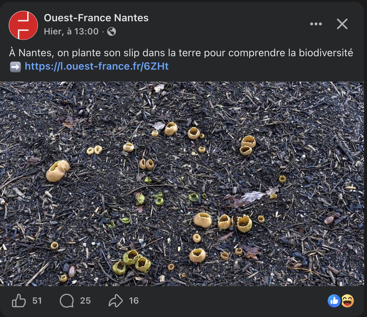 Loreine 🇫🇷🇰🇷 Les Asiatiques à Droite tweet media