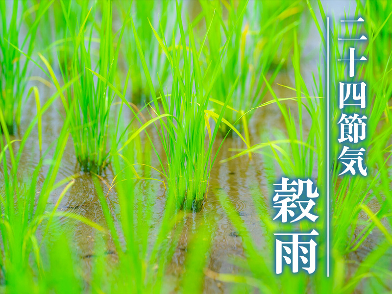 ウェザーニュース tweet media