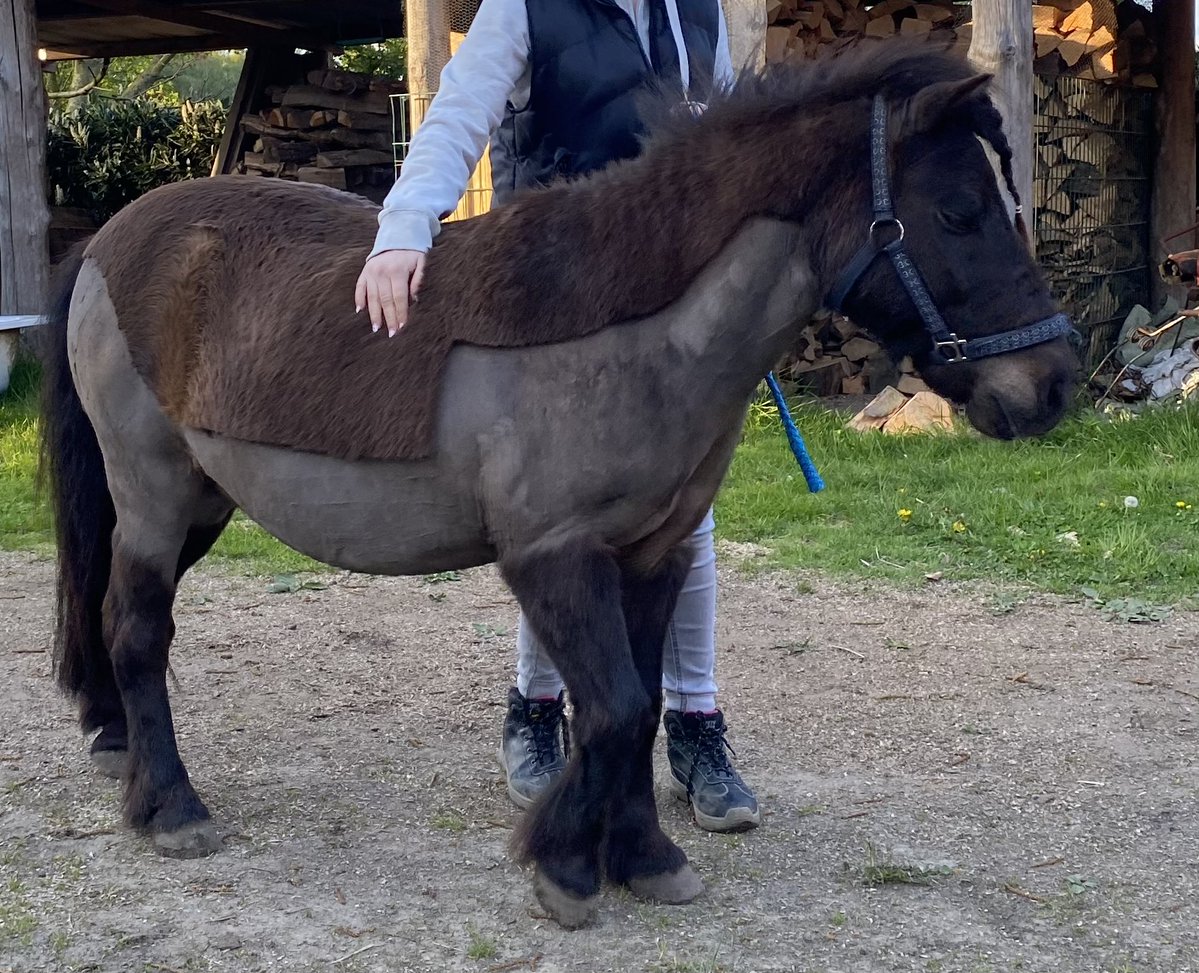 Das wird hier so ernst 😬😬😬 Oder was meinte Fraucheb wohl mit „sportlichem Haarschnitt“? 😱