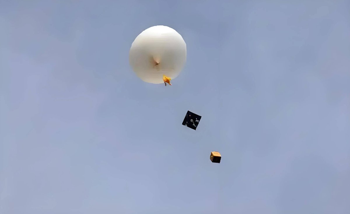 akira tiger rose tweet media