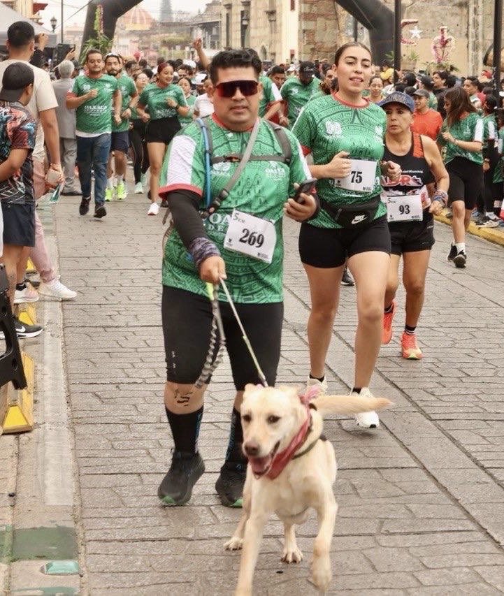 Territorio Score tweet media