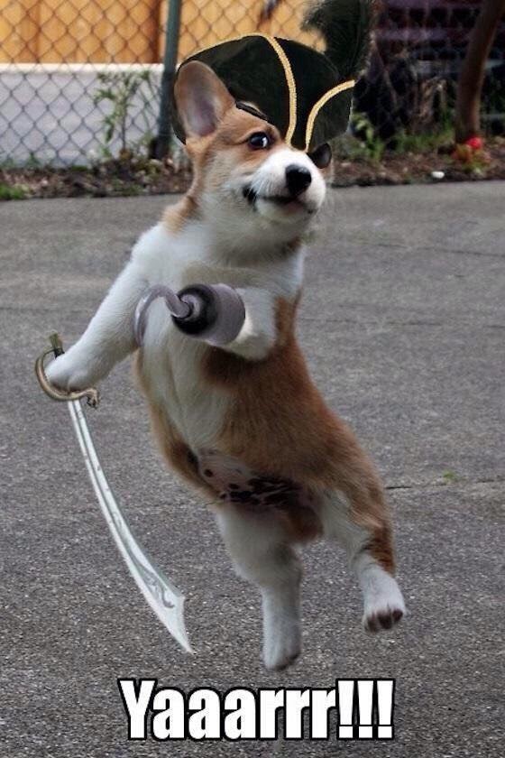 Johnny Brittner 🇺🇲 tweet media