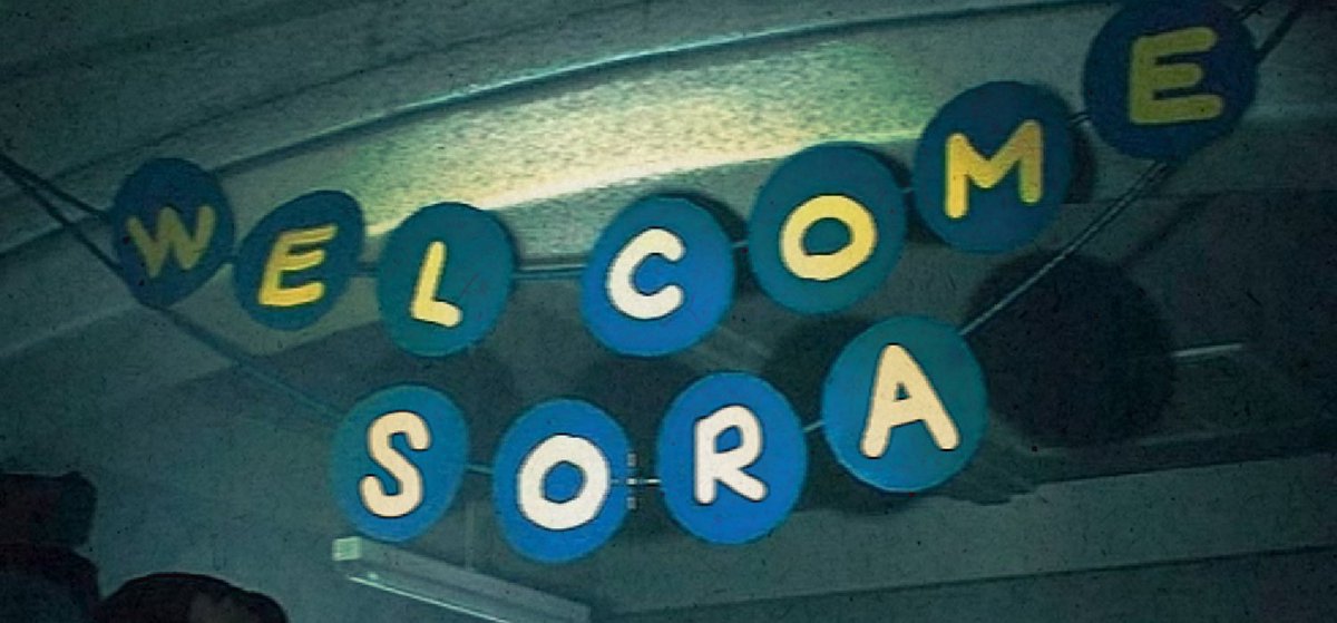 sora (@dinosora_) on Twitter photo 