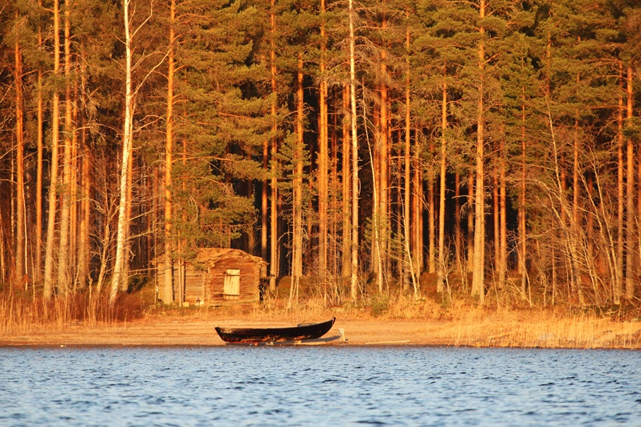 OKietavainen's tweet photo. Vanha verkkovaja ja vasta tervattu vene tuovat häivähdyksen kalastuksesta vuosikymmenten takaa. #puumala #terva #puuvene https://t.co/7Pu2kh8nYy