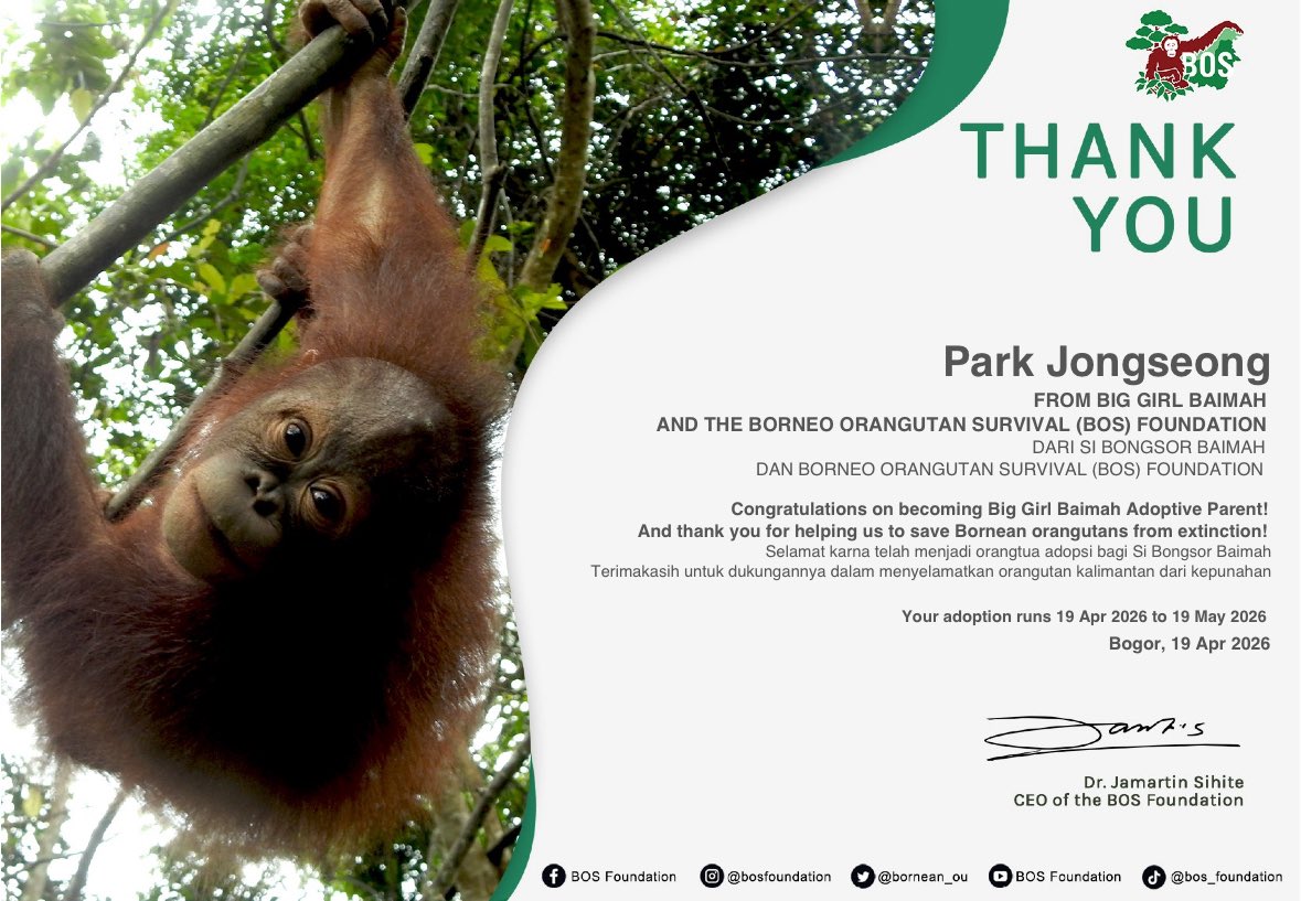 nada..🐈 tweet media