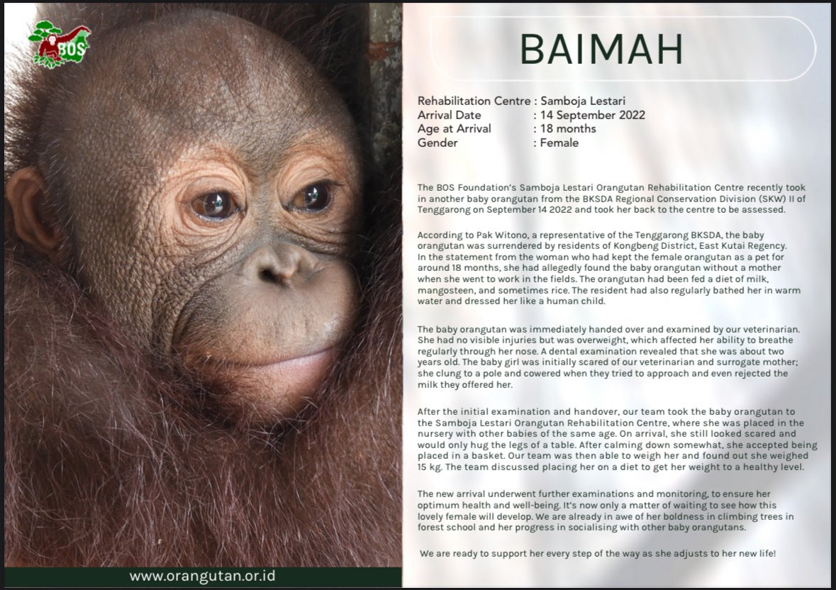 nada..🐈 tweet media