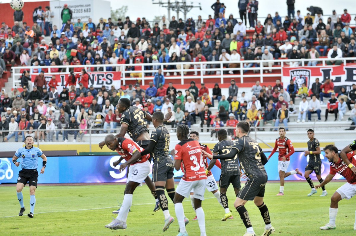 Leones FC tweet media