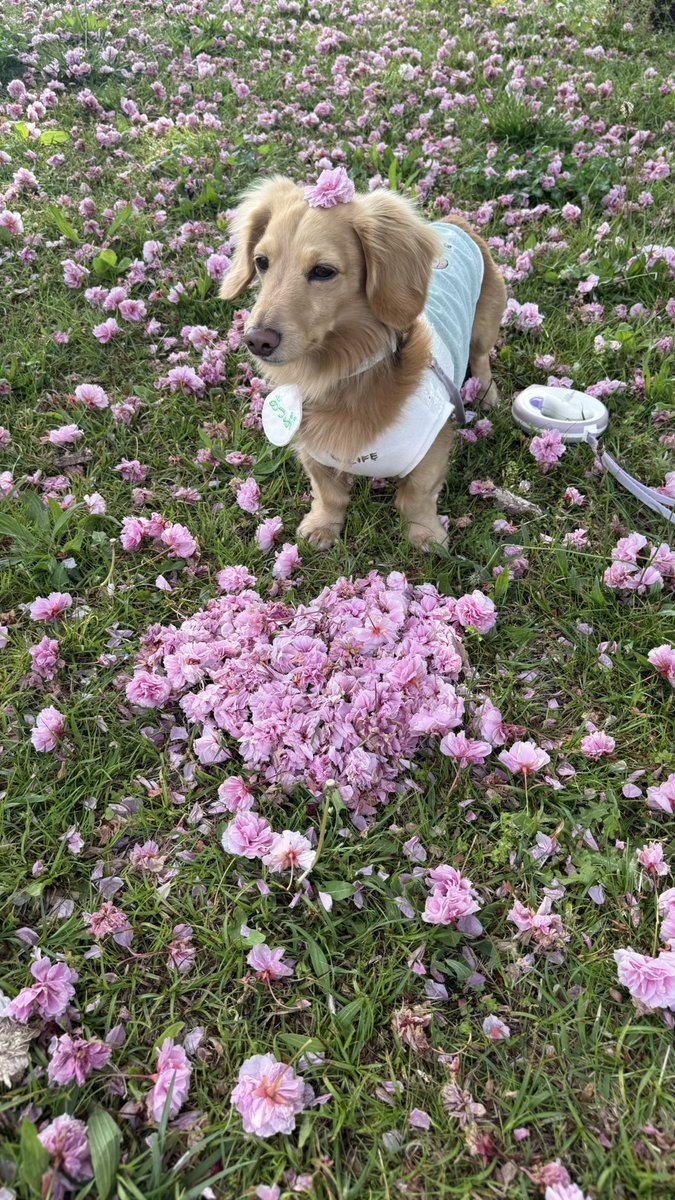 ☺︎あっぷ☺︎ tweet media