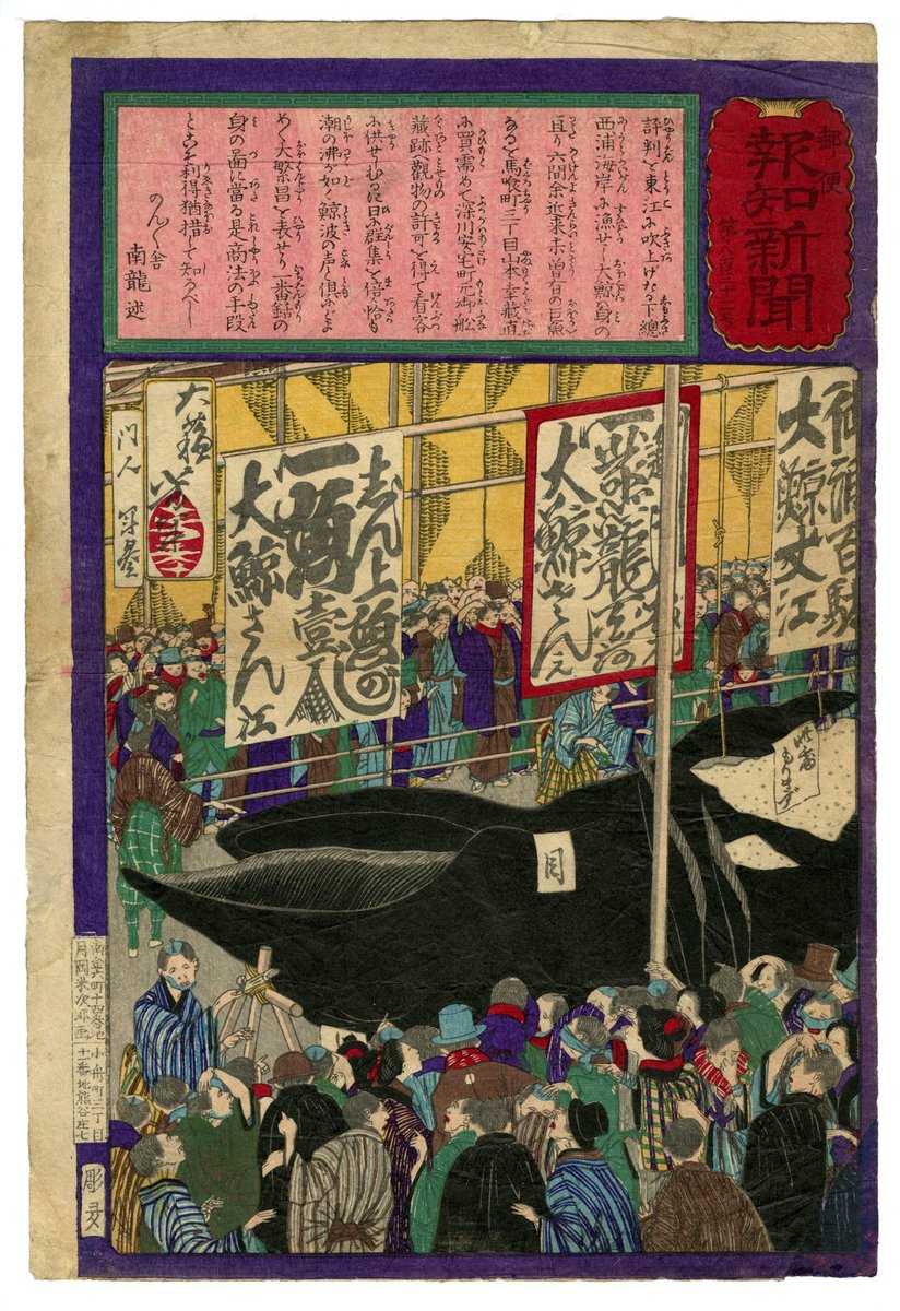 syukado's tweet image. 秋華洞、本日の新着浮世絵です。
芳年「郵便報知新聞　第832号　大鯨見世物」
jp.japanese-finearts.com/item/list2/A1-…?

#Ukiyoe #woodblockprint #print #Japaneseart #浮世絵 #錦絵 #画廊 #銀座 #秋華洞 #Gallery #Yoshitoshi ＃芳年 #新聞錦絵 #クジラ #鯨 #whale