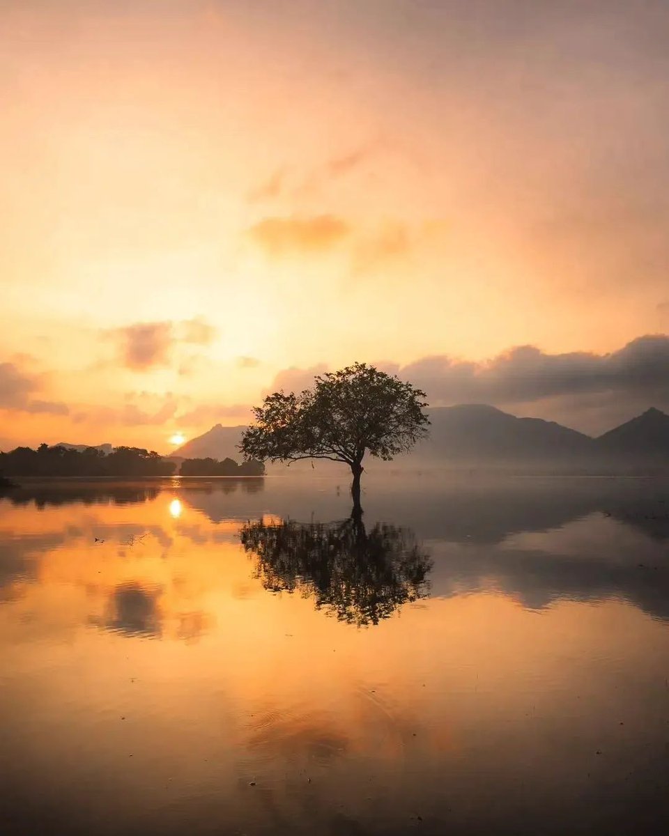 __KJ11's tweet image. Promise yourself to be just as enthusiastic about the success of others as you are about your own. #appreciate